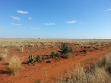 vignette Madagascar_2016_1255.jpg 