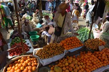 vignette Madagascar_2016_1288.jpg 