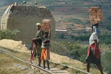 vignette Madagascar_2016_1297.jpg 