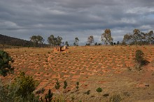 vignette Madagascar_2016_1432.jpg 