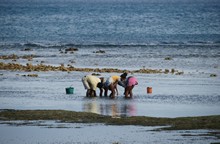 vignette Madagascar_2016_1635.jpg 