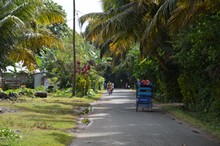 vignette Madagascar_2016_1642.jpg 