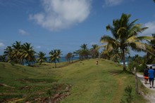 vignette Madagascar_2016_1697.jpg 