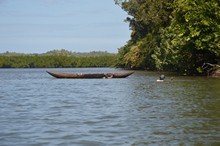 vignette Madagascar_2016_1840.jpg 