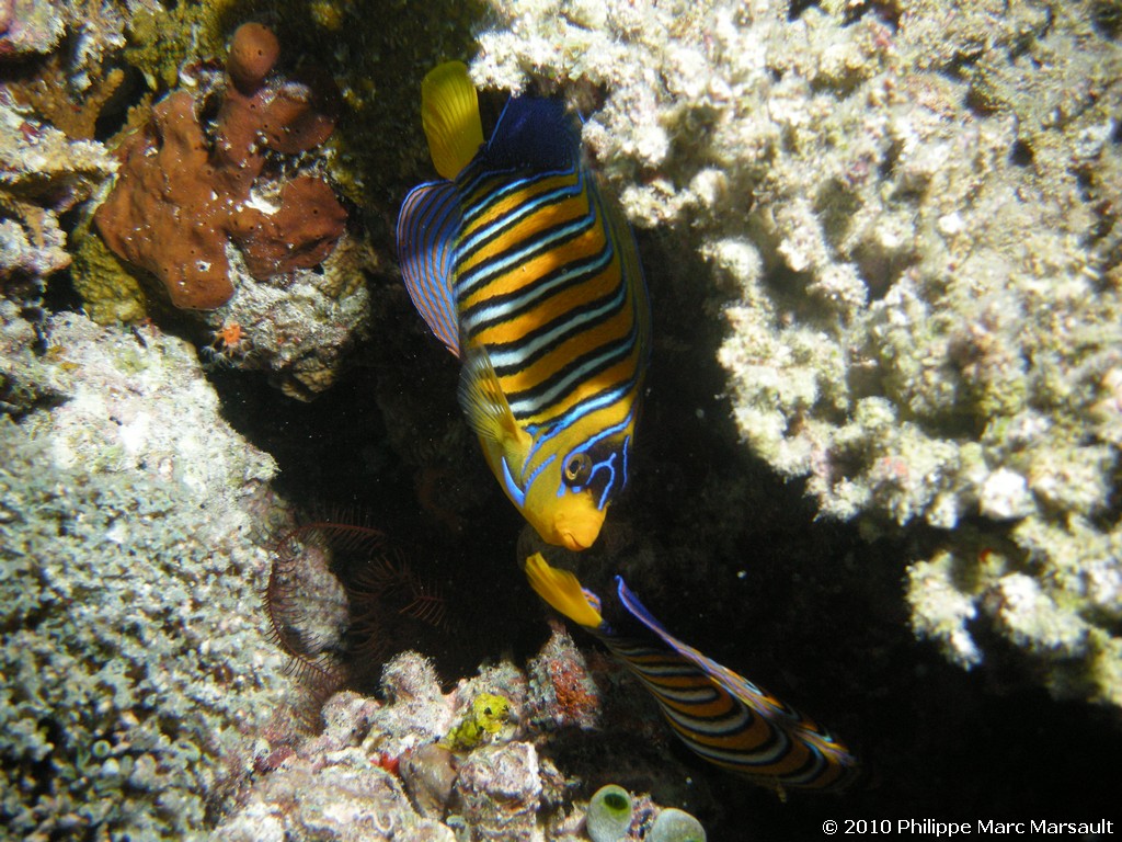 /ecran/Maldives_2010_026.jpg