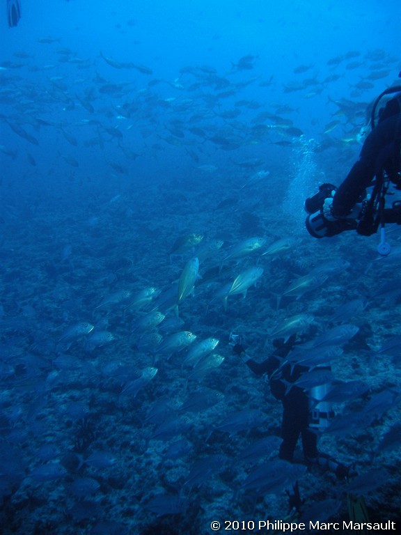 /ecran/Maldives_2010_057.jpg