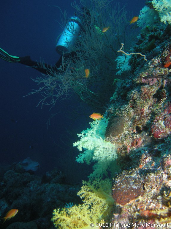 /ecran/Maldives_2010_094.jpg