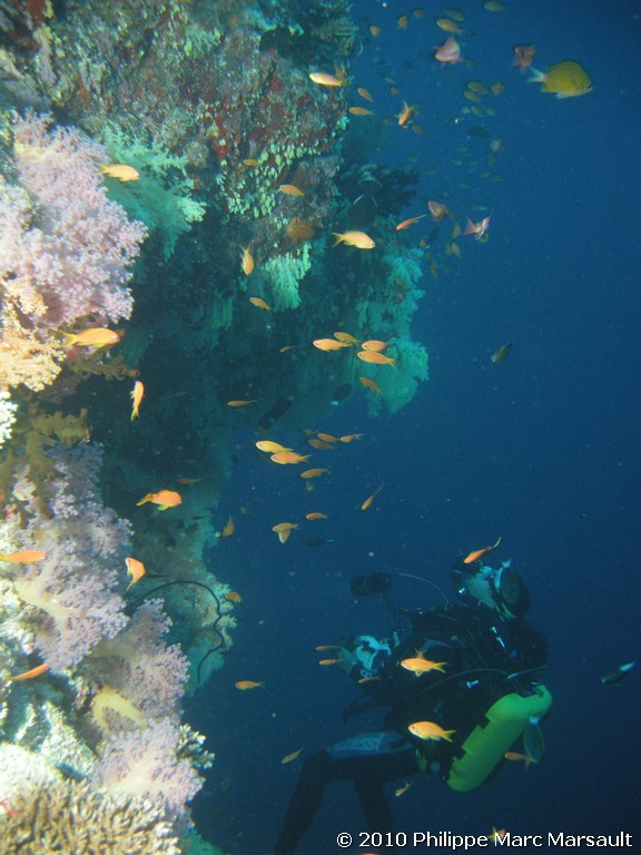 /ecran/Maldives_2010_103.jpg