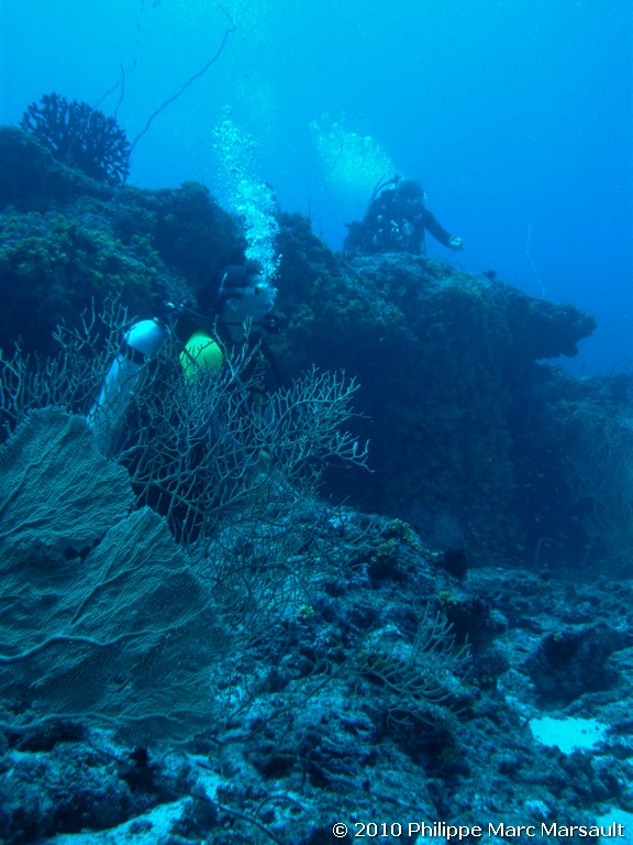 /ecran/Maldives_2010_187.jpg