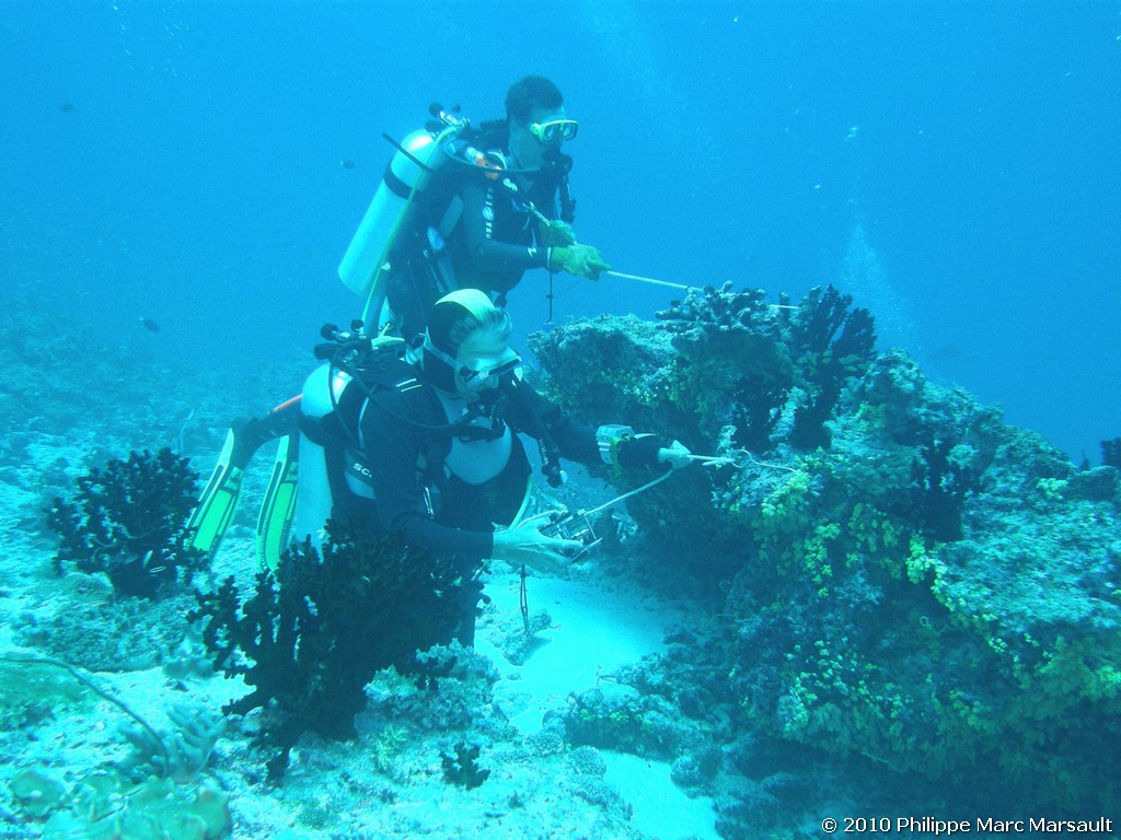 /ecran/Maldives_2010_198.jpg