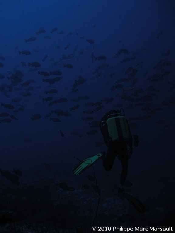 /ecran/Maldives_2010_280.jpg