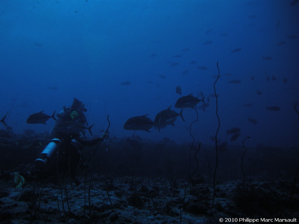 /ecran/Maldives_2010_281.jpg