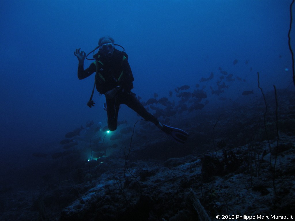 /ecran/Maldives_2010_284.jpg