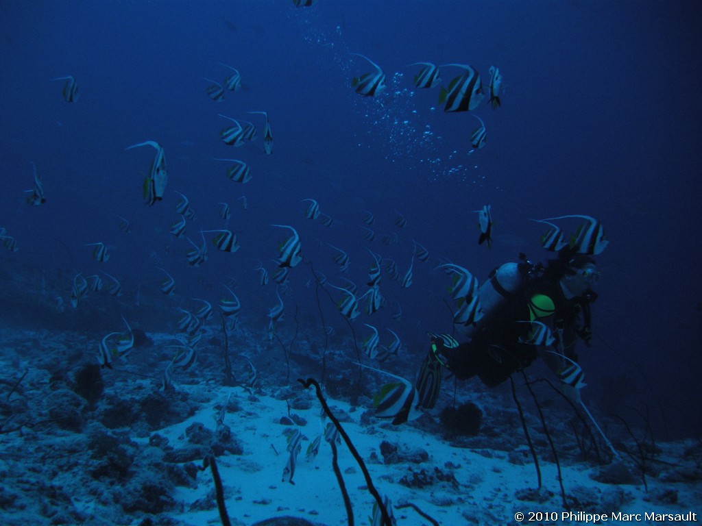 /ecran/Maldives_2010_288.jpg