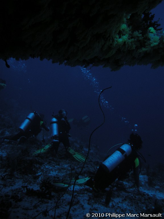 /ecran/Maldives_2010_315.jpg