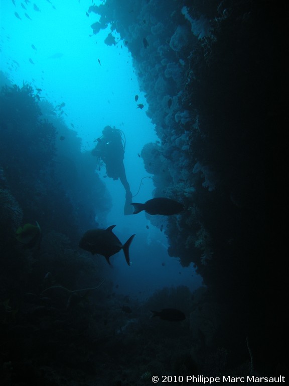 /ecran/Maldives_2010_385.jpg