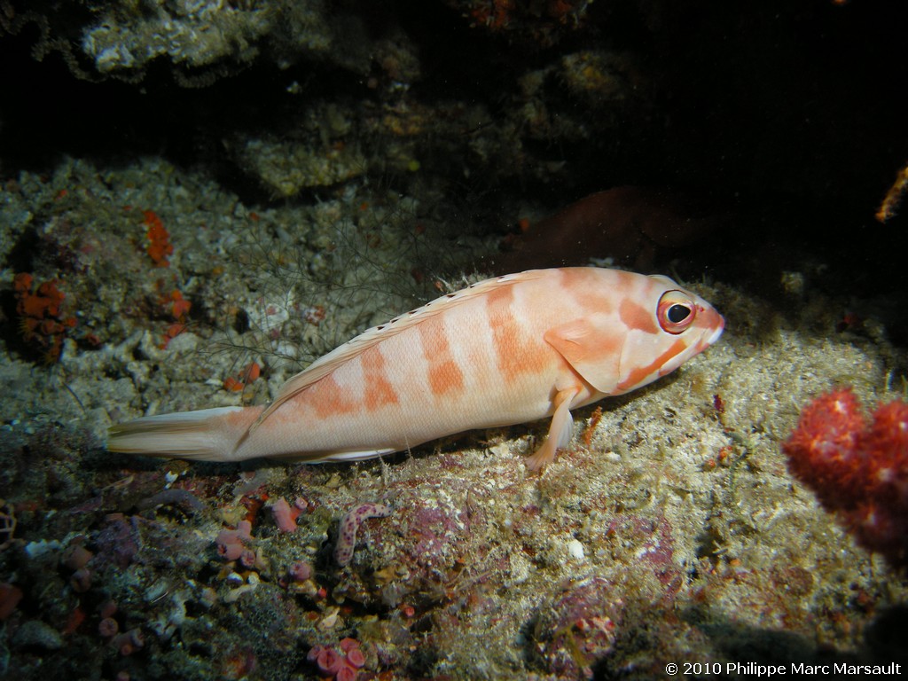 /ecran/Maldives_2010_388.jpg