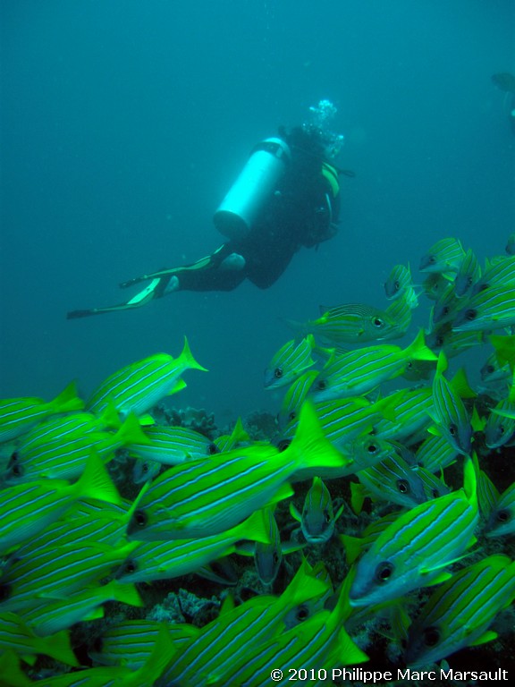 /ecran/Maldives_2010_418.jpg