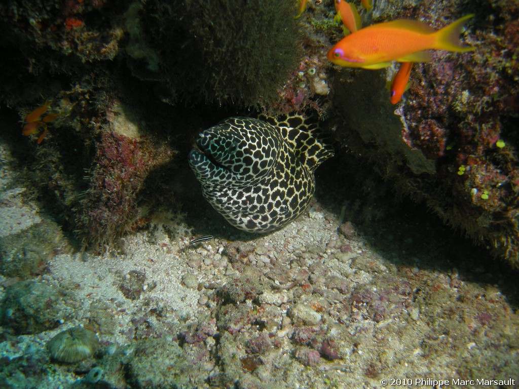 /ecran/Maldives_2010_463.jpg