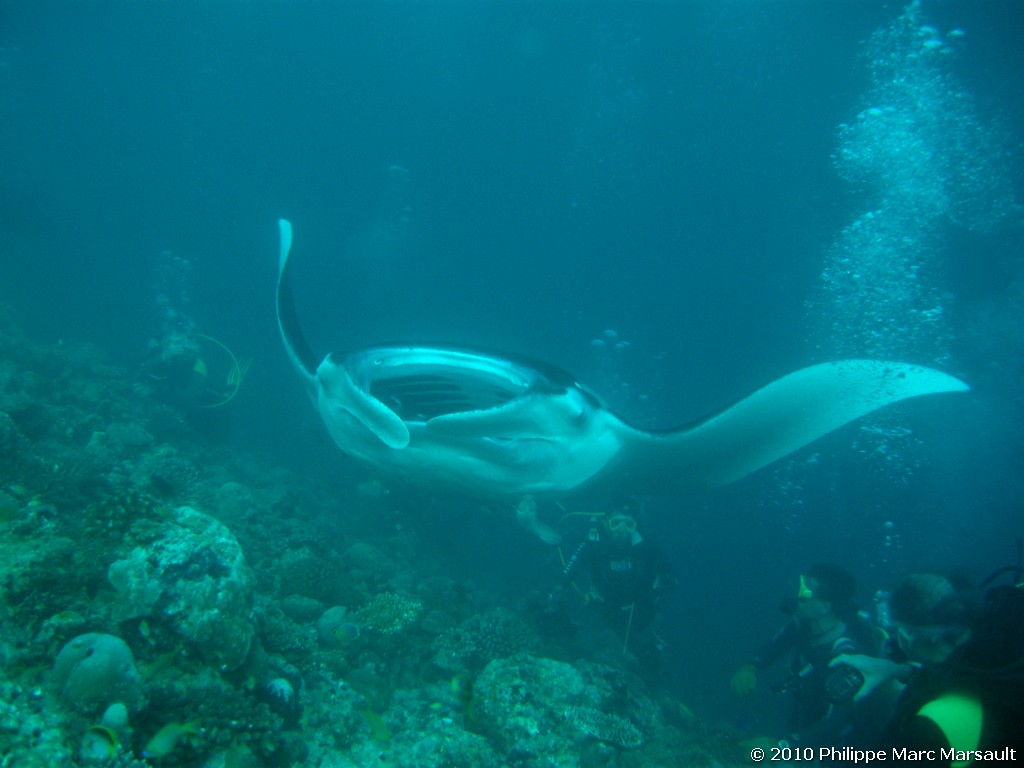 /ecran/Maldives_2010_495.jpg