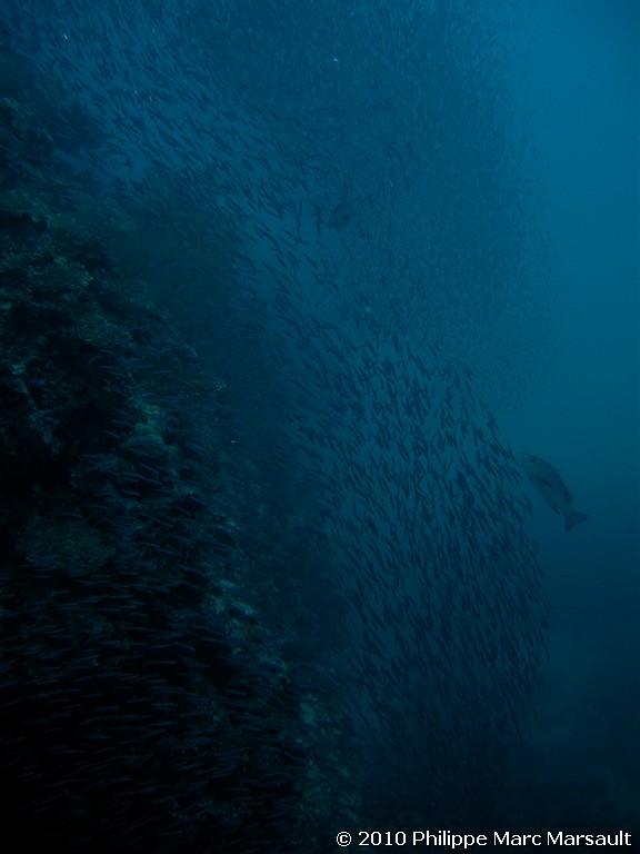 /ecran/Maldives_2010_520.jpg