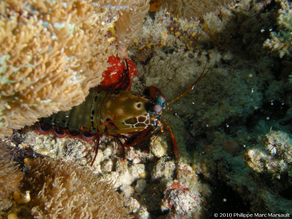 /ecran/Maldives_2010_530.jpg