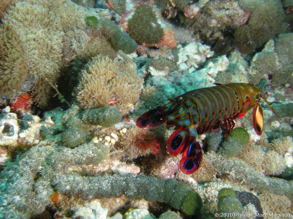 /ecran/Maldives_2010_531.jpg