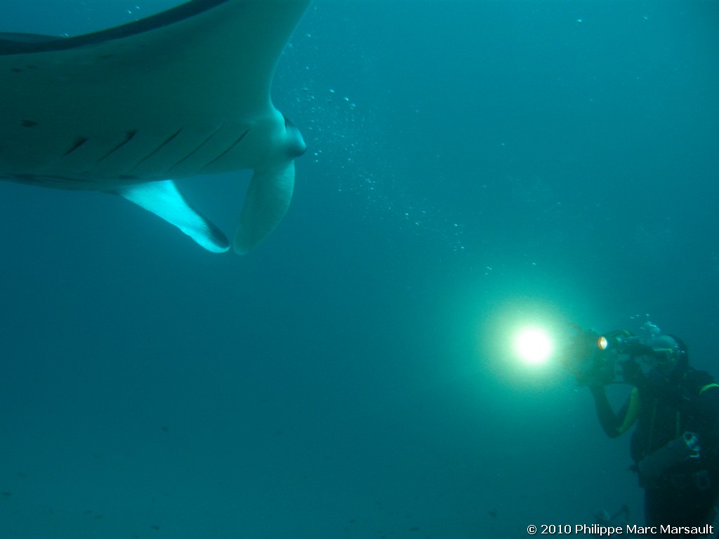 /ecran/Maldives_2010_553.jpg