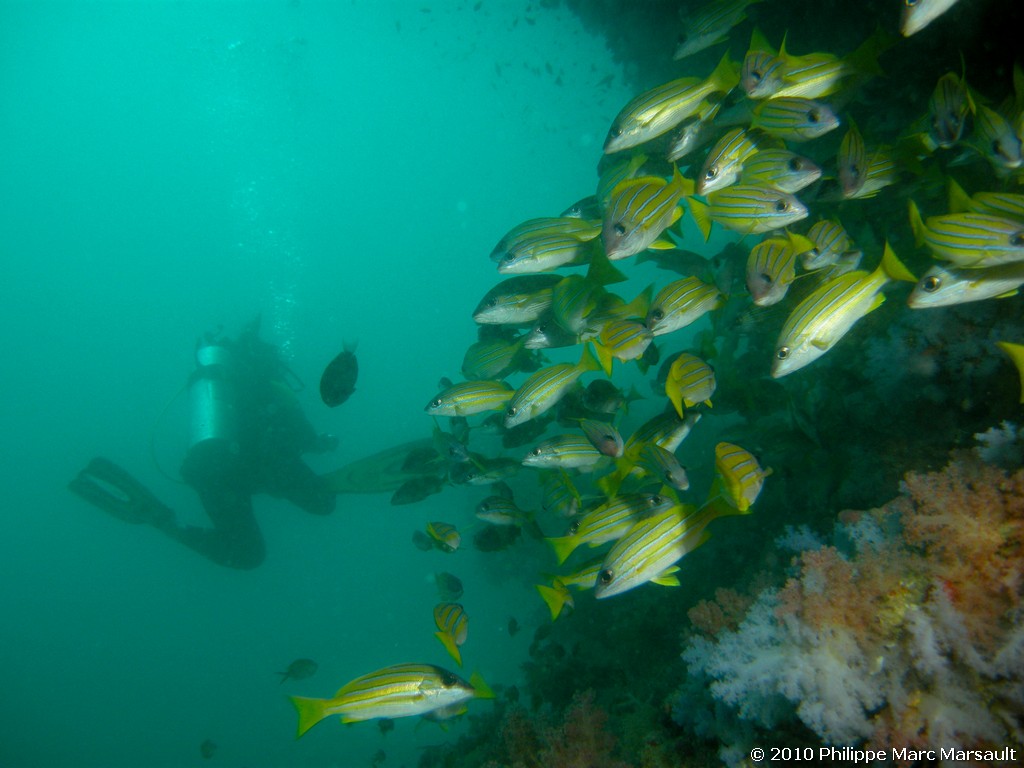 /ecran/Maldives_2010_570.jpg