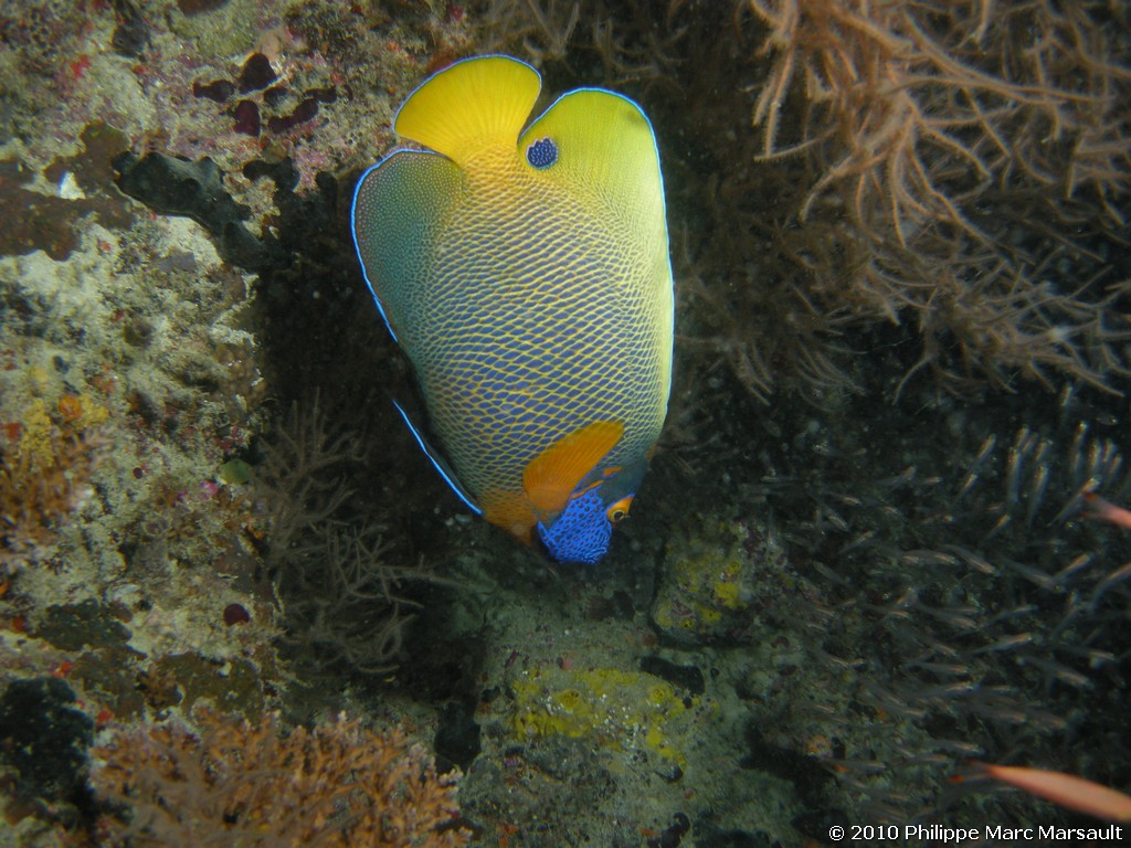 /ecran/Maldives_2010_582.jpg