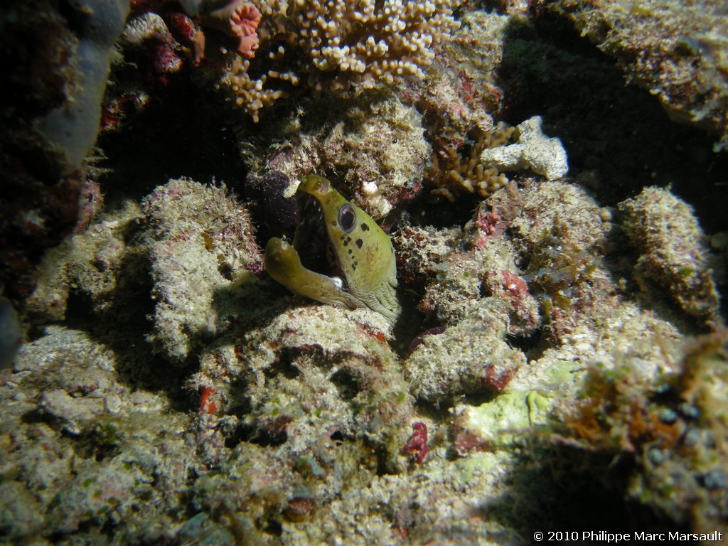 /ecran/Maldives_2010_589.jpg