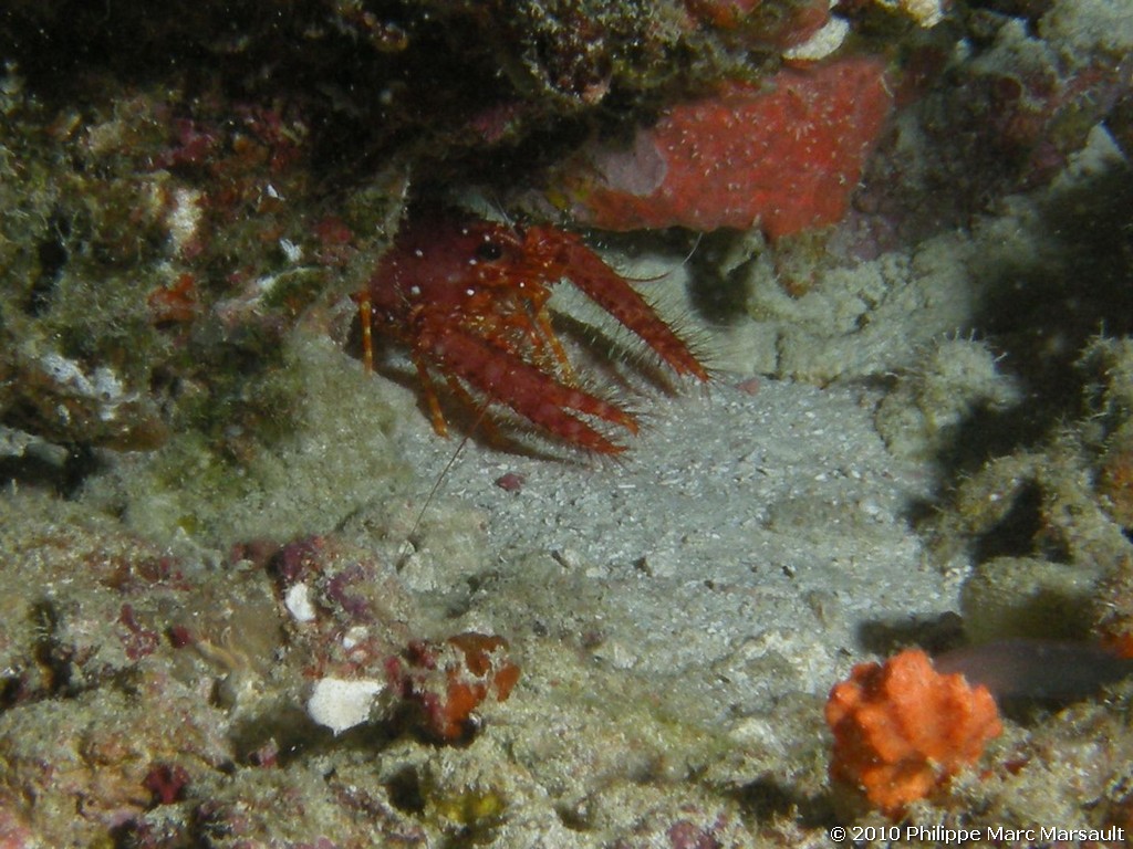 /ecran/Maldives_2010_593.jpg