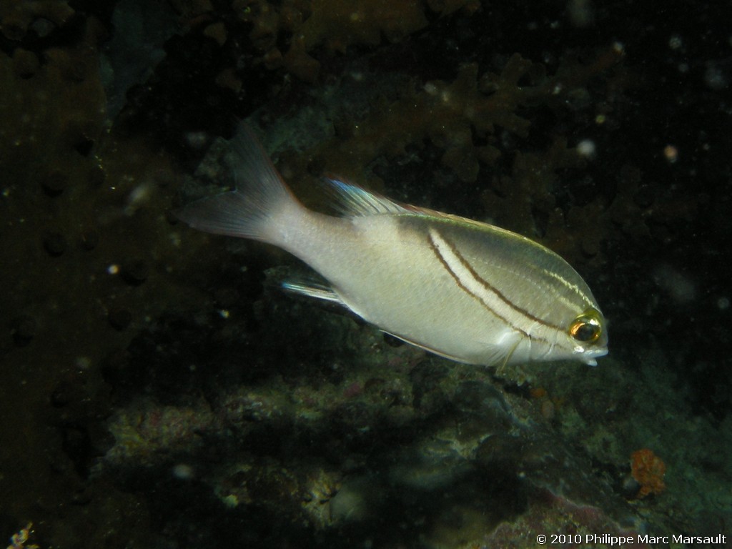 /ecran/Maldives_2010_619.jpg