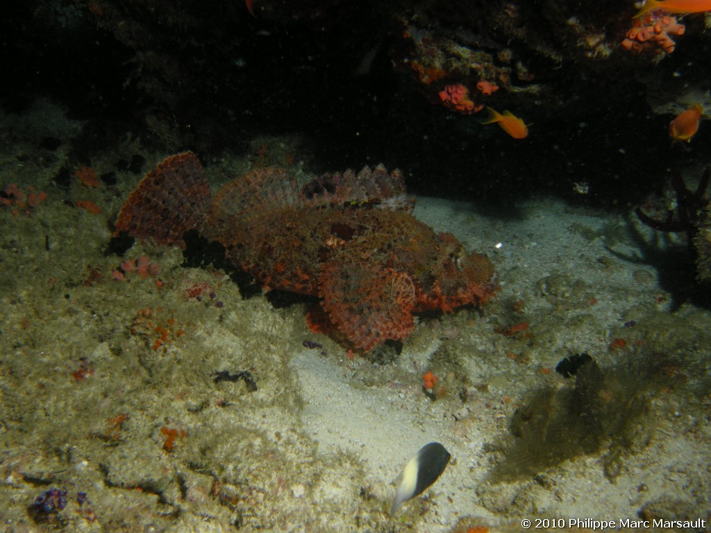 /ecran/Maldives_2010_647.jpg