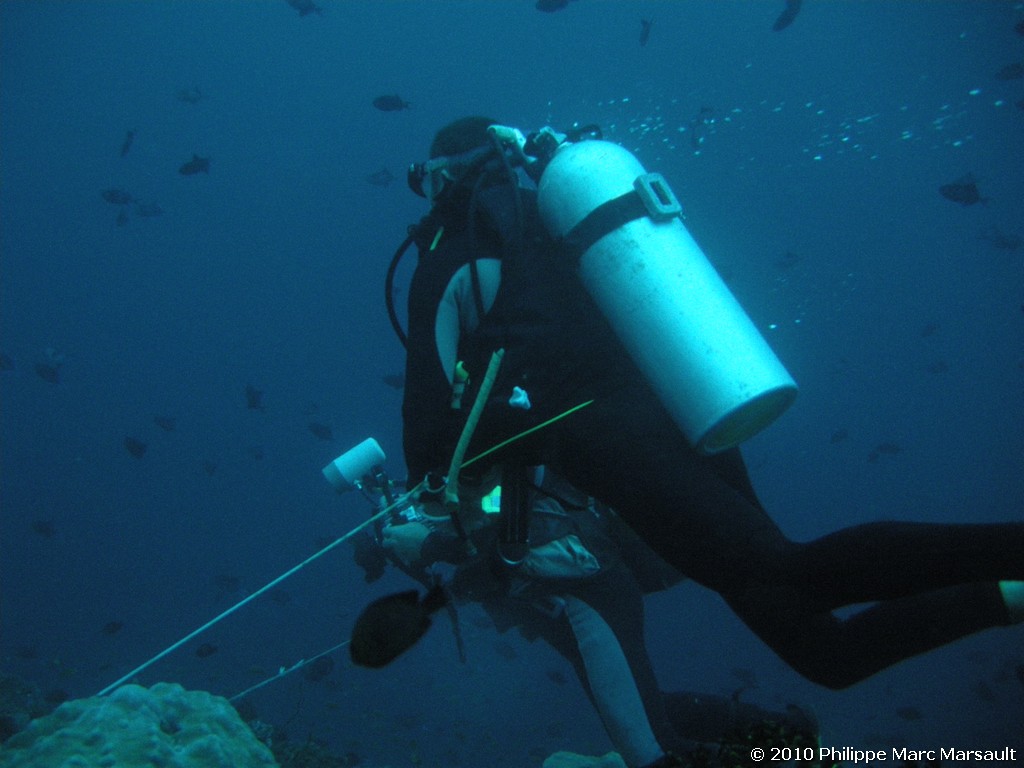 /ecran/Maldives_2010_716.jpg