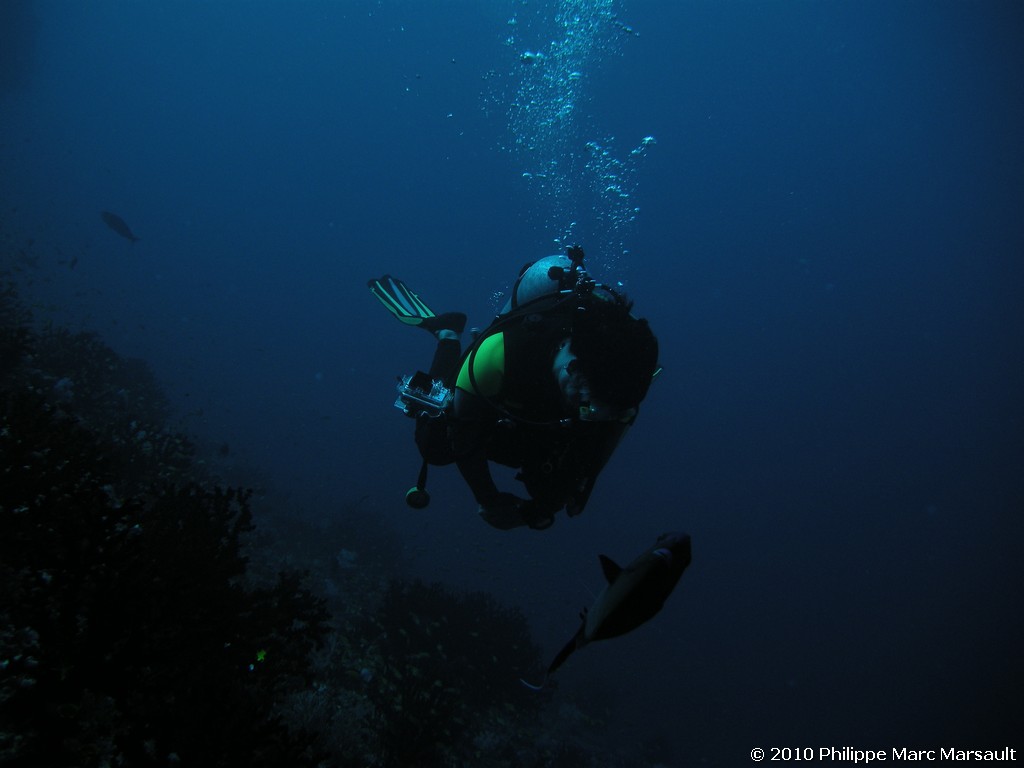 /ecran/Maldives_2010_746.jpg