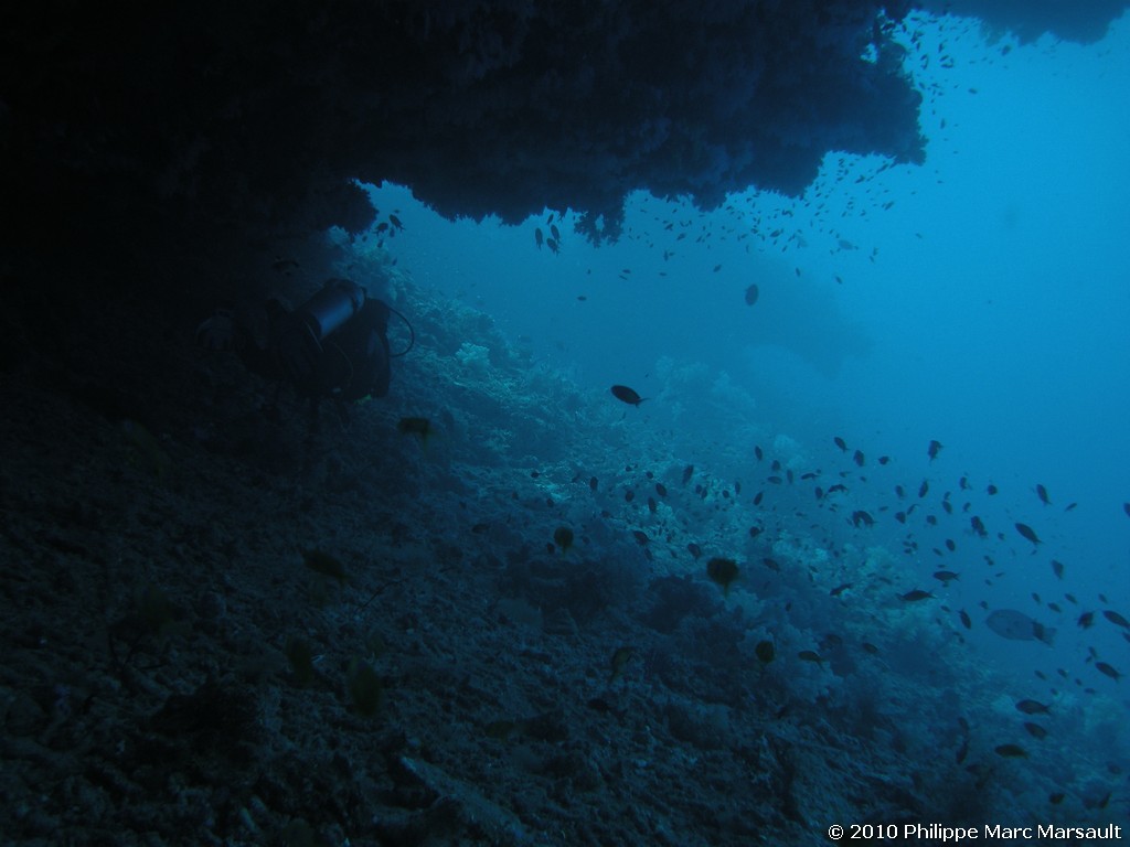 /ecran/Maldives_2010_753.jpg