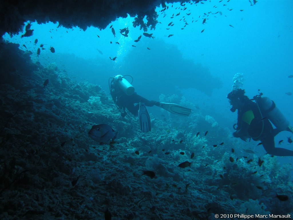 /ecran/Maldives_2010_754.jpg