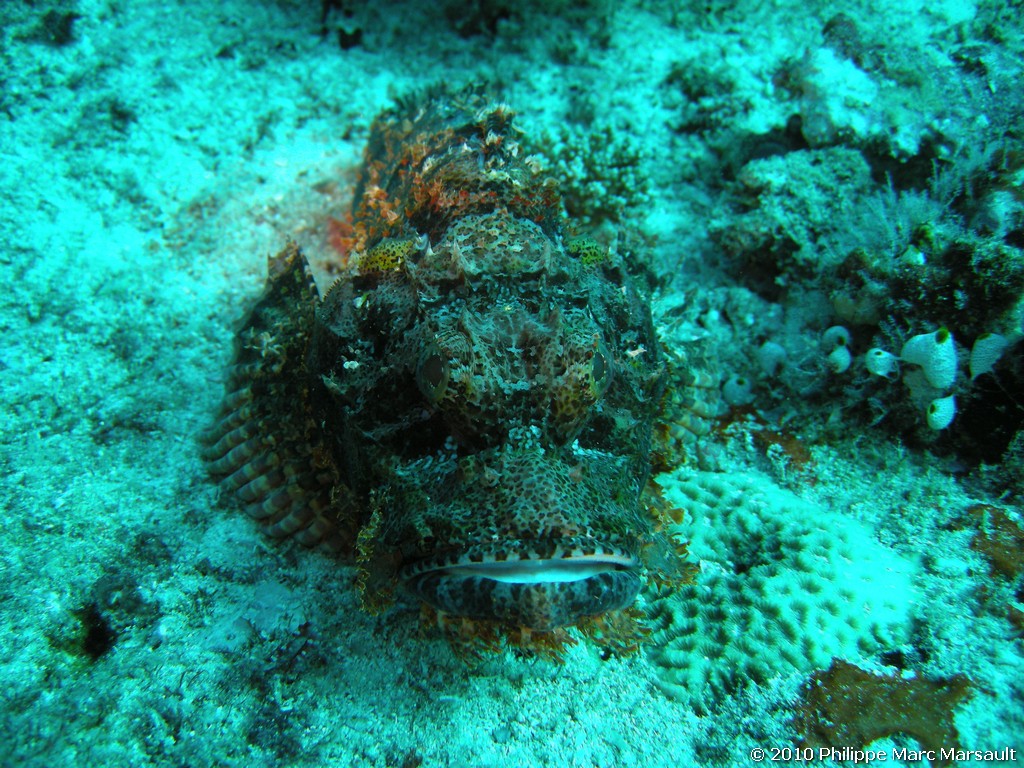 /ecran/Maldives_2010_758.jpg