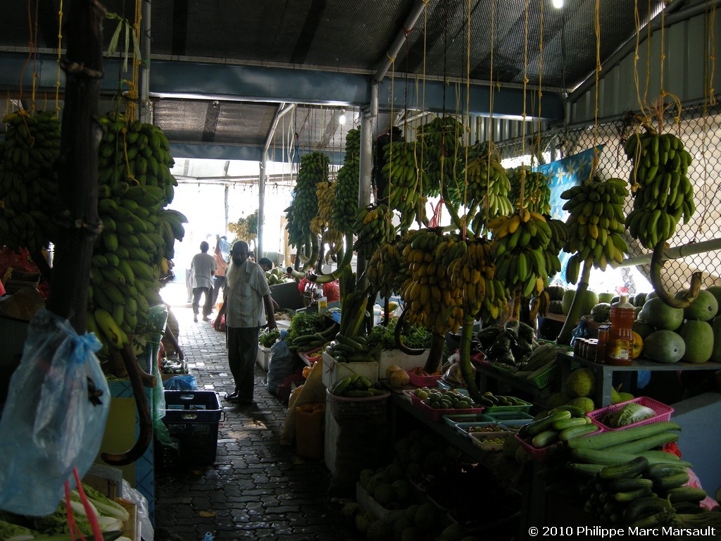 /ecran/Maldives_2010_772.jpg