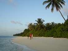 vignette Maldives_2010_357.jpg 