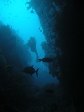 vignette Maldives_2010_385.jpg 