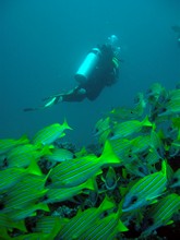 vignette Maldives_2010_418.jpg 