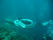 vignette Maldives_2010_490.jpg 