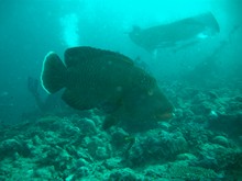 vignette Maldives_2010_507.jpg 