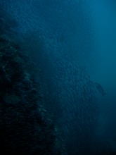 vignette Maldives_2010_520.jpg 