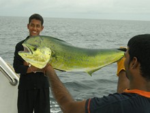 vignette Maldives_2010_673.jpg 