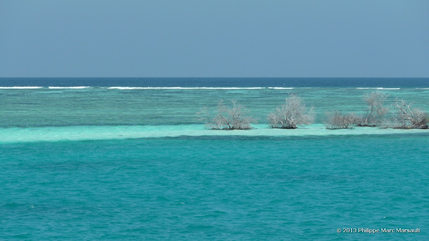 /ecran/Maldives_sud_0330.jpg