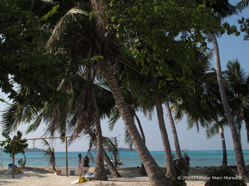 /ecran/Maldives_sud_0397.jpg