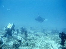 vignette Maldives_sud_0035.jpg 